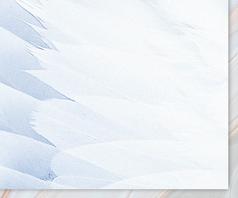 Fondo Restaurante Gaviotas